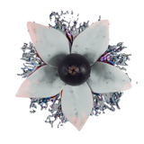 Sapphire Crown Bright Side Hookah Tobacco - Smoxygen