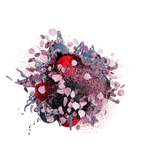 Sapphire Crown Indian Stuff Hookah Tobacco - Smoxygen