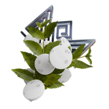 Sapphire Crown Ron.Do Hookah Tobacco - Smoxygen