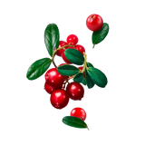 Starline Cranberry 200G