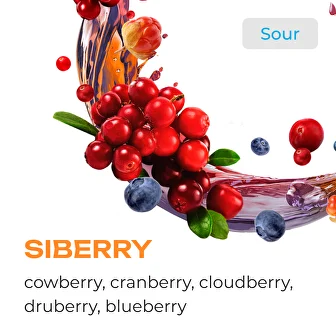 Element Siberry Water 200G - Smoxygen
