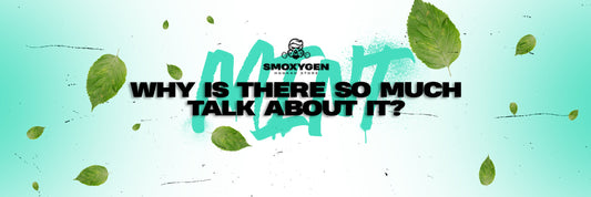 Mint hookah flavors: everything you should know about it