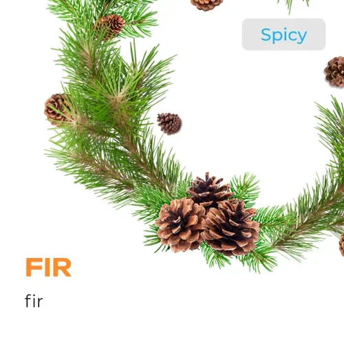 Element Fir Water Hookah Tobacco - Smoxygen
