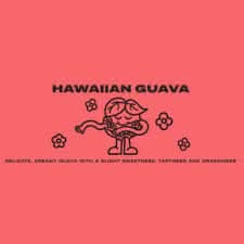 Severniy Hawaiian Guava Hookah Tobacco