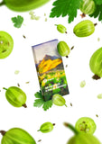 Sarma Classic Gooseberry Hookah Tobacco - Smoxygen