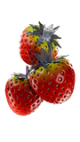 Sapphire Crown Alpine Strawberry