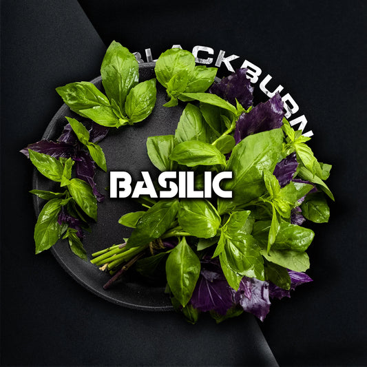 Black Burn Basilic - Smoxygen