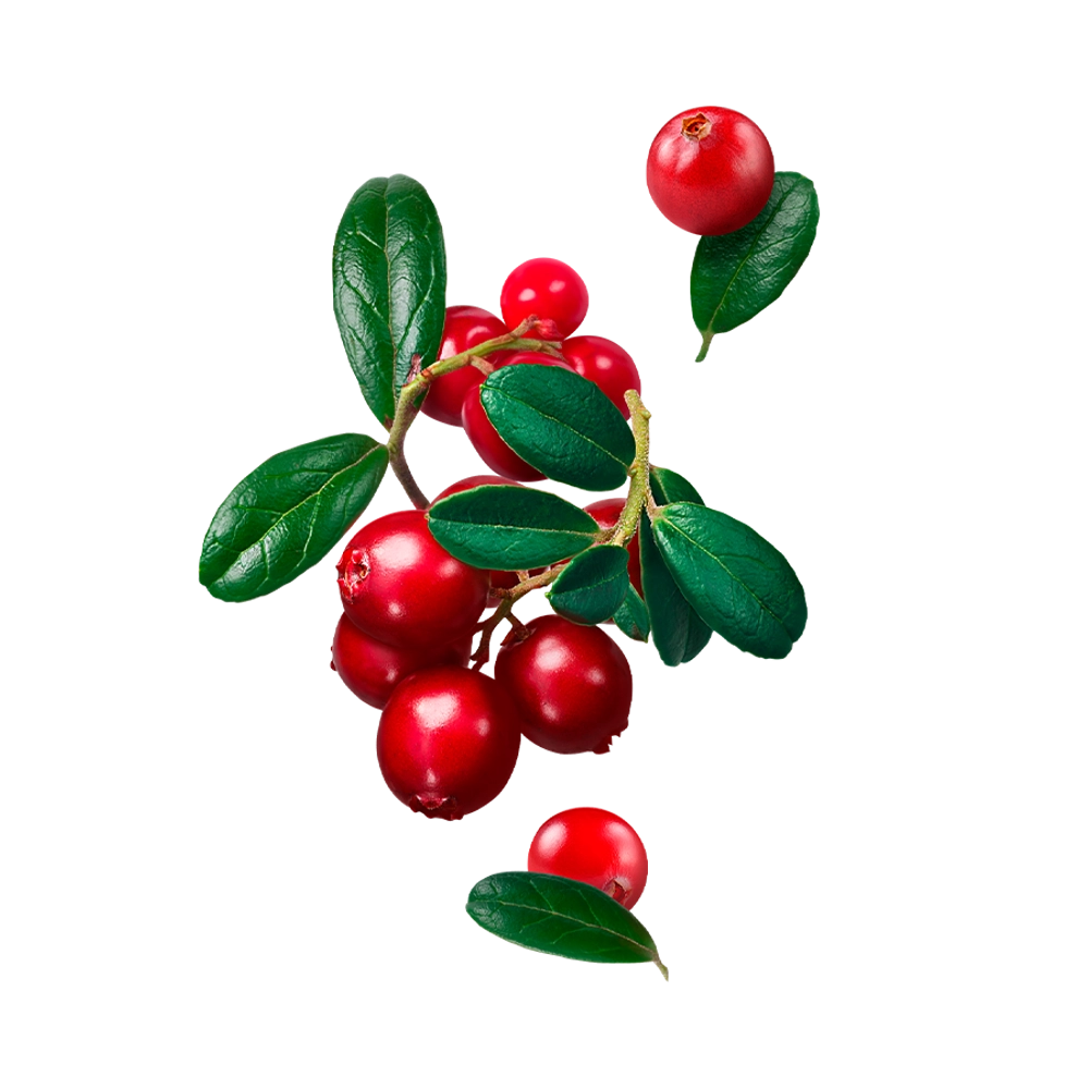 Starline Cranberry 200G