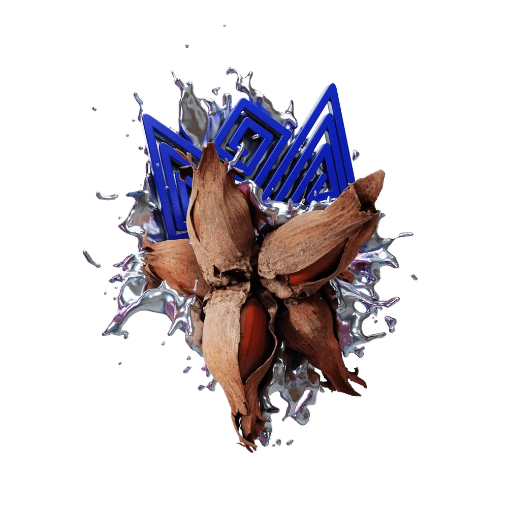 Sapphire Crown Hazelnut Crash